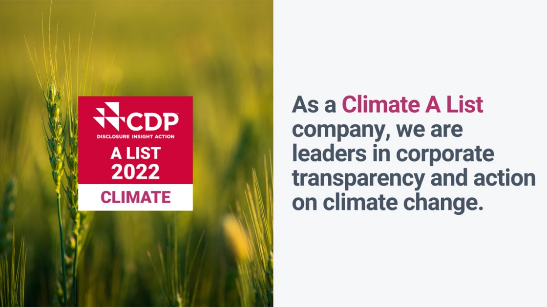 CDP A List 2022 features Beiersdorf, Firmenich, Kao, L'Oréal and LVMH as  Triple A scores for environmental leadership